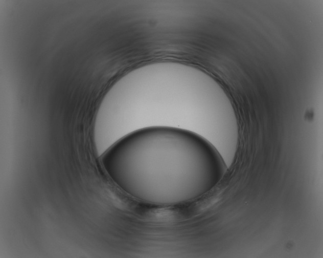 X0000093450219200710121012