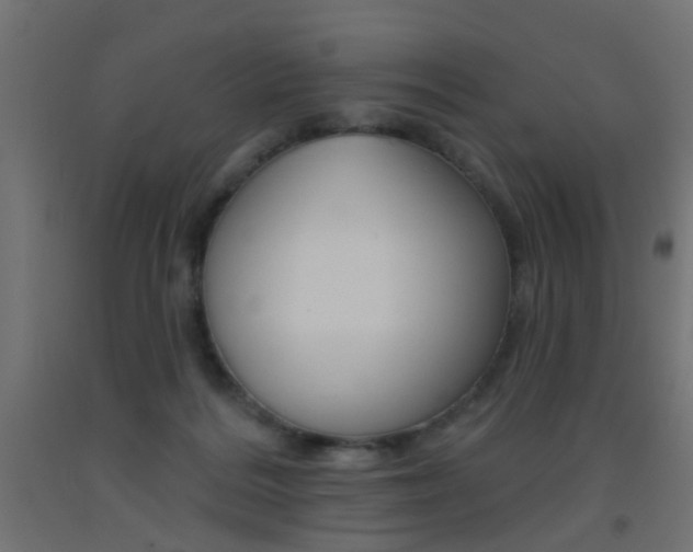 X0000093450220200710121012