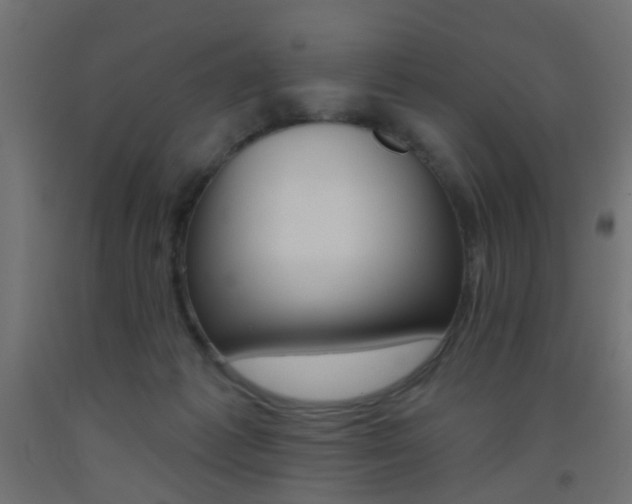 X0000093450221200710121012