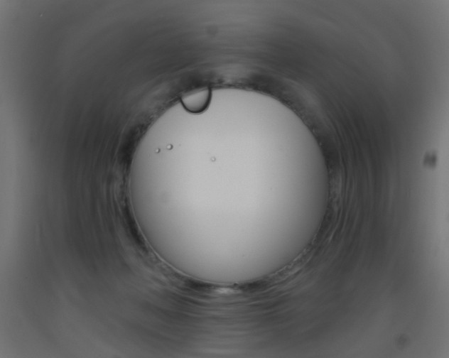 X0000093450222200710121012