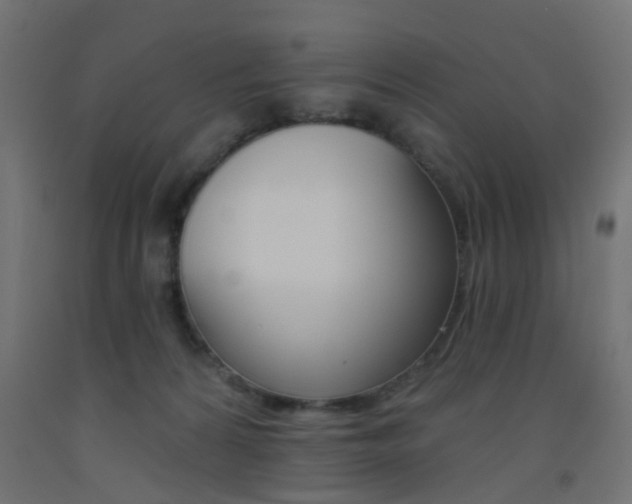 X0000093450224200710121012