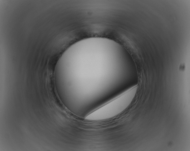 X0000093450225200710121012