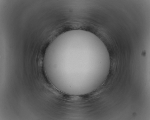 X0000093450226200710121012