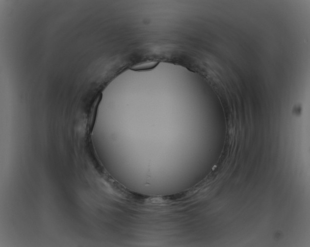 X0000093450231200710121012