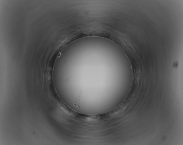 X0000093450232200710121012