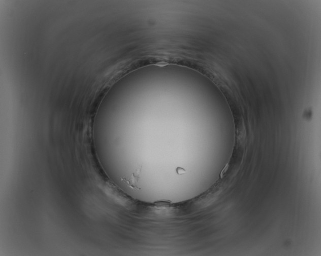 X0000093450233200710121012