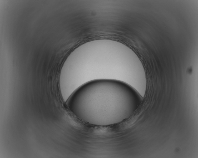 X0000093450235200710121012