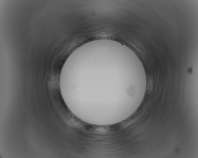 X0000093450236200710121012