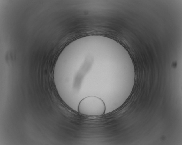 X0000093450237200710121012