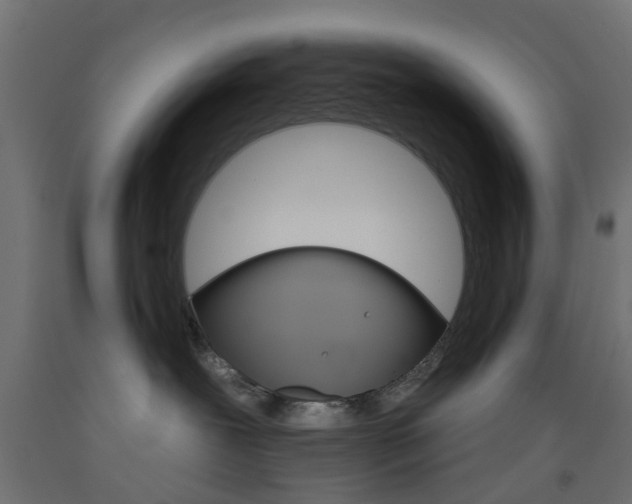 X0000093450239200710121012