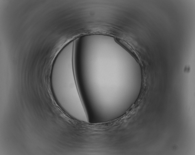 X0000093450241200710121011