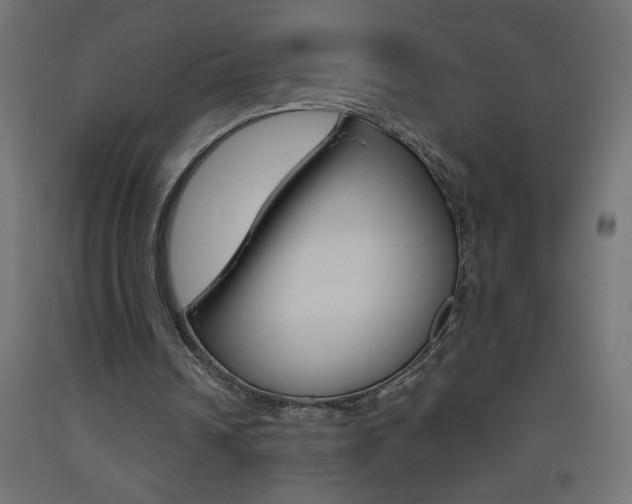 X0000093450242200710121011