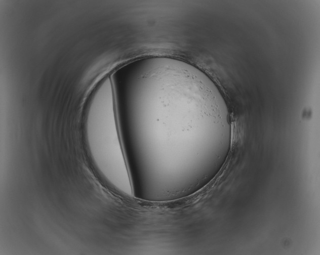 X0000093450243200710121011