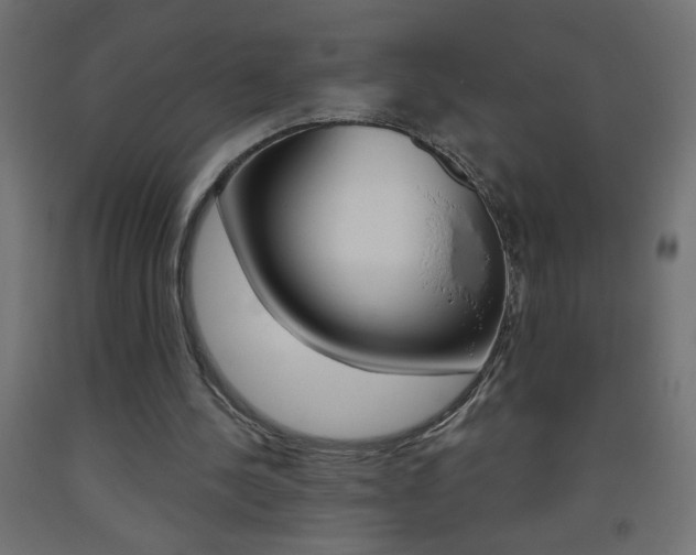 X0000093450244200710121011