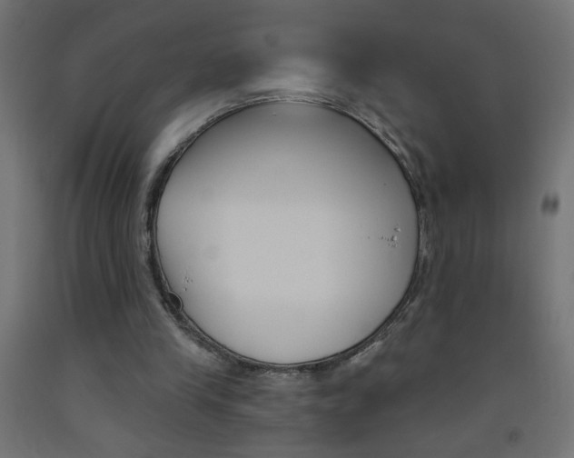 X0000093450245200710121011