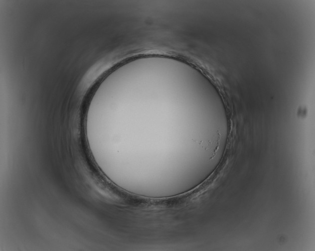 X0000093450247200710121011