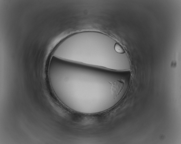 X0000093450248200710121011