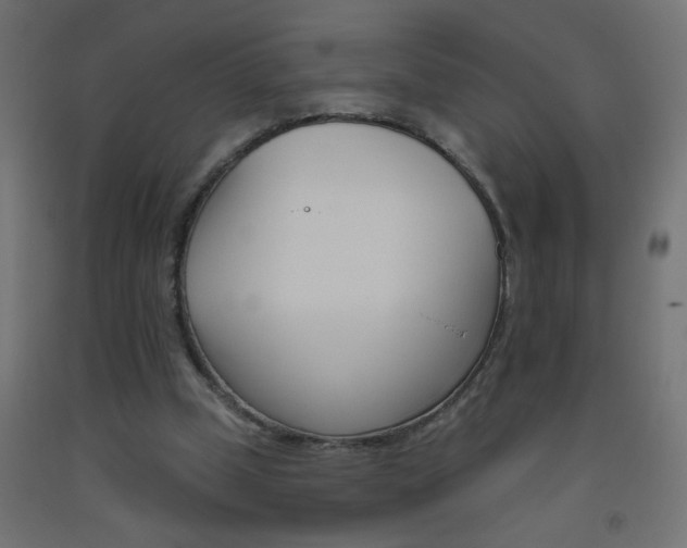 X0000093450249200710121012