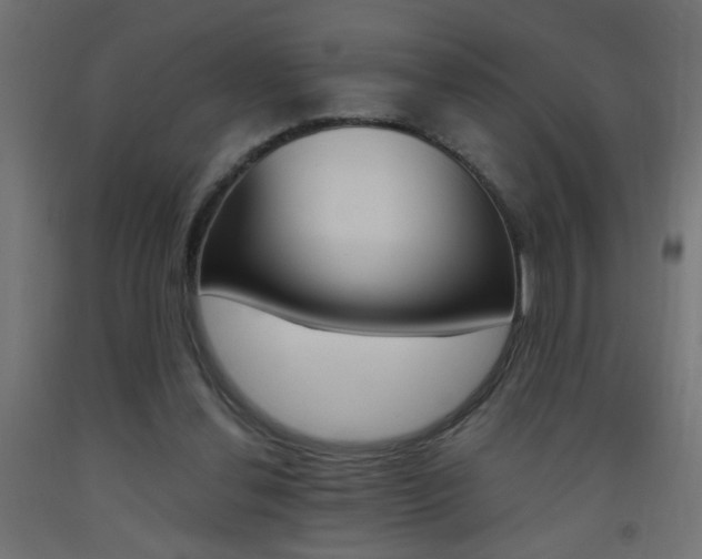 X0000093450252200710121012