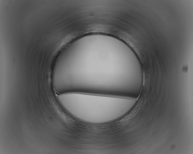 X0000093450253200710121012