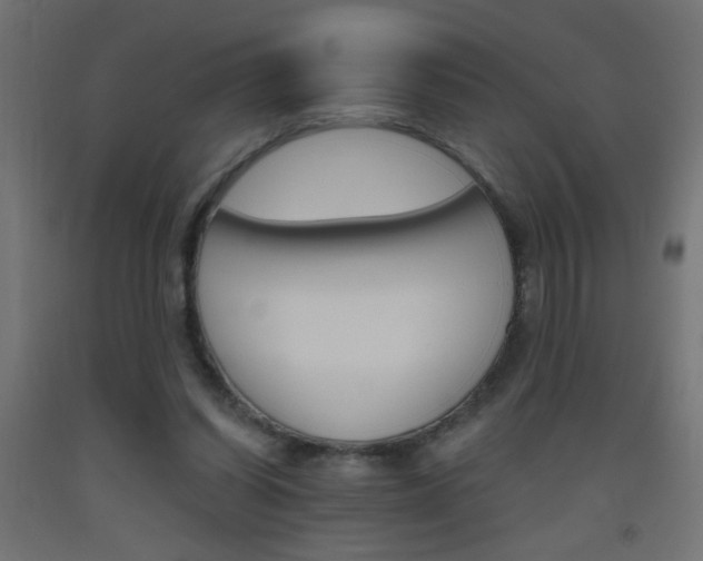 X0000093450254200710121012