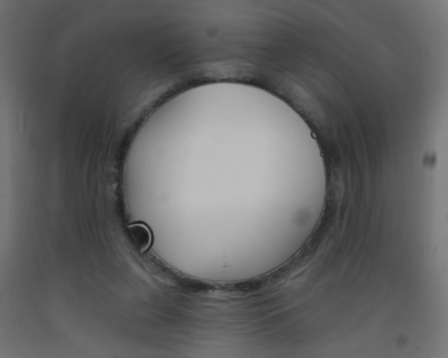 X0000093450255200710121012