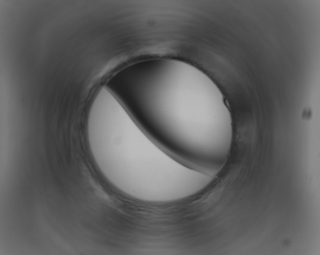 X0000093450256200710121012