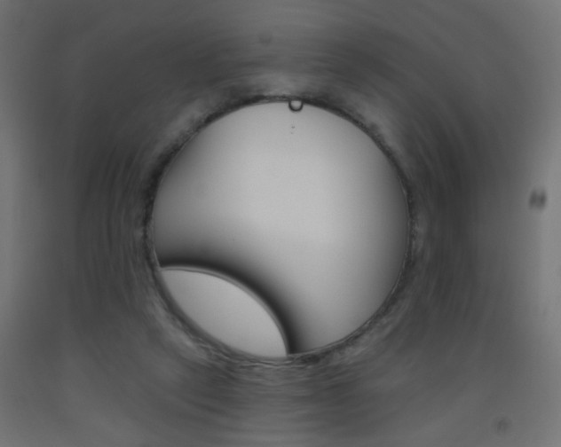 X0000093450257200710121012