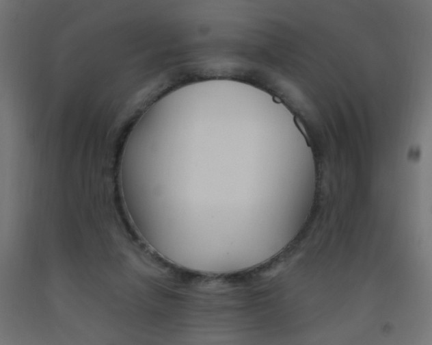 X0000093450258200710121012