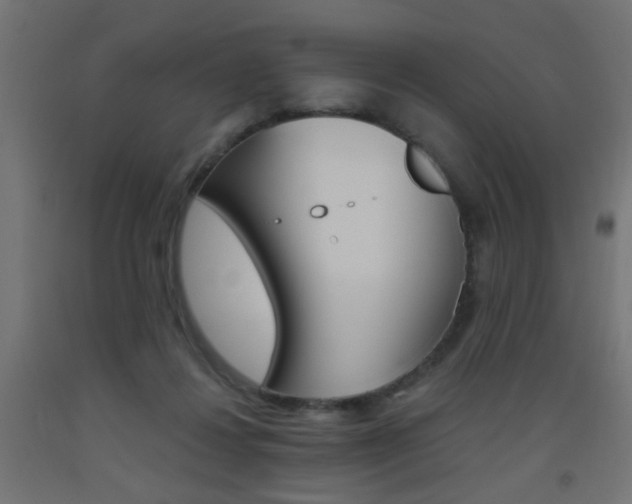 X0000093450260200710121012