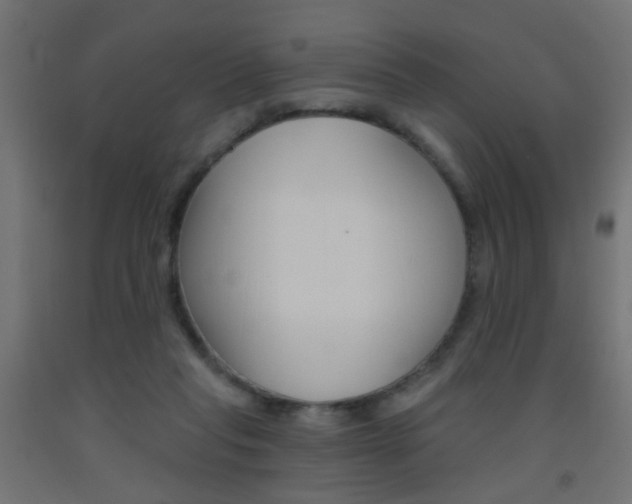 X0000093450261200710121012