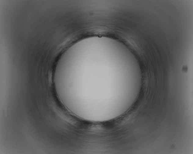 X0000093450262200710121012