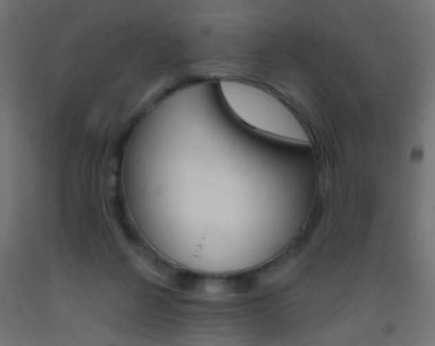 X0000093450264200710121012