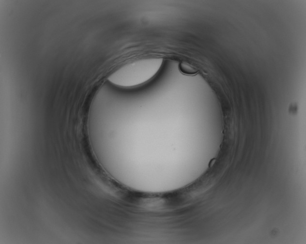 X0000093450266200710121012