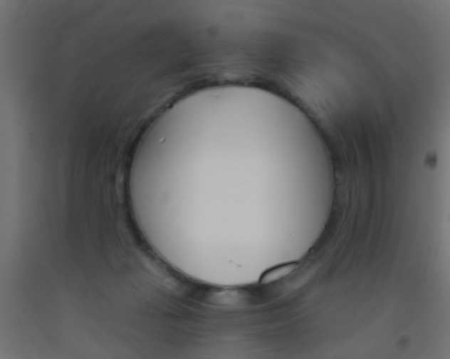 X0000093450269200710121012