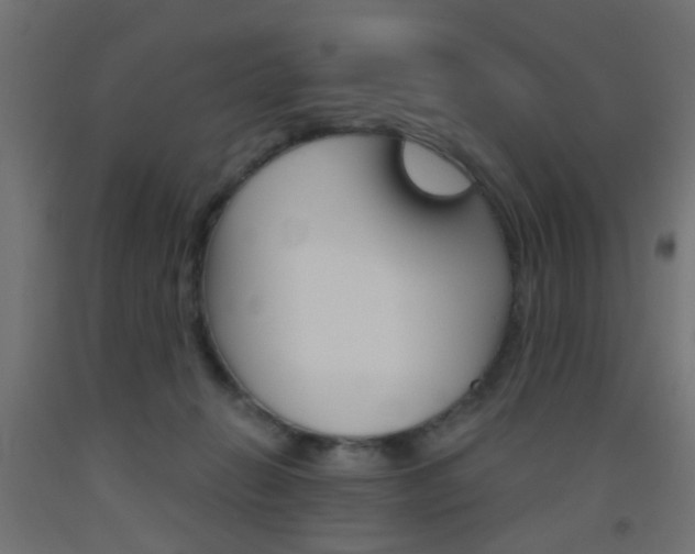 X0000093450270200710121012