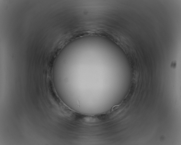 X0000093450272200710121012