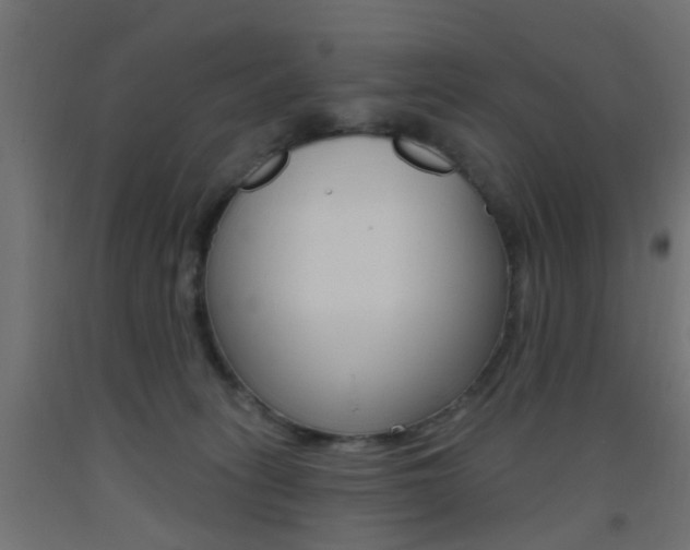 X0000093450275200710121012