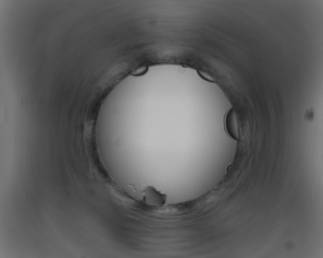 X0000093450278200710121012