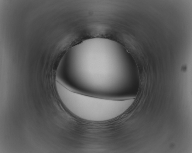 X0000093450280200710121012
