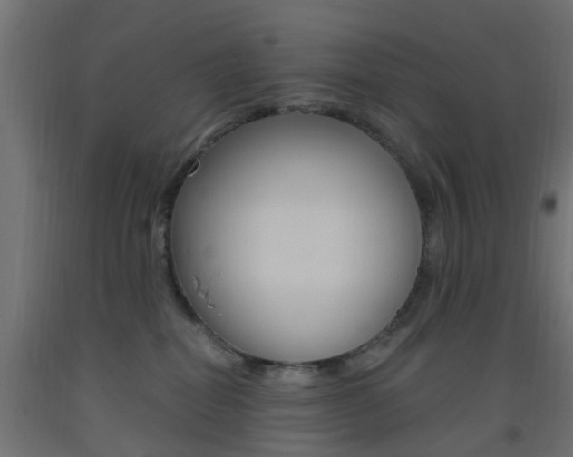 X0000093450282200710121012