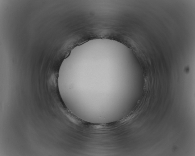 X0000093450286200710121012