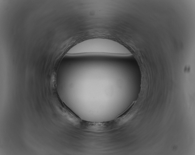 X0000093450288200710121012