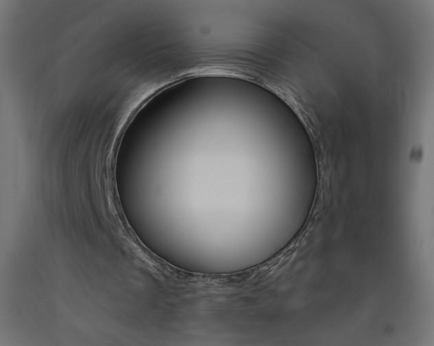 X0000093450289200710121011