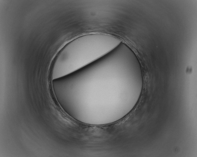 X0000093450290200710121011