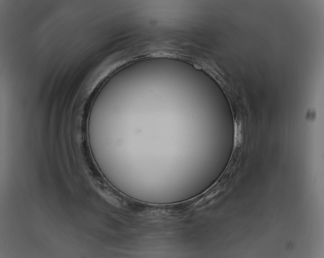 X0000093450291200710121011