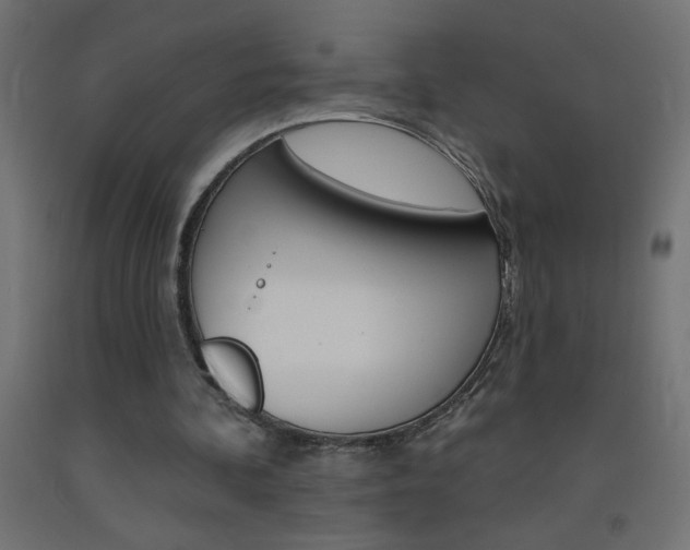 X0000093450292200710121011