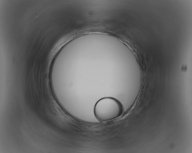 X0000093450293200710121011