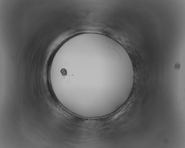 X0000093450294200710121011
