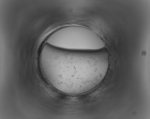 X0000093450295200710121011